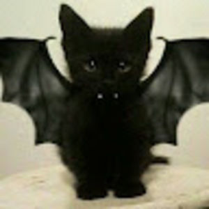 Meet your Posher, Marie